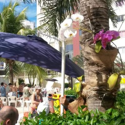 Themas do Bandeirantes   Área de Lazer (12)